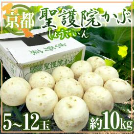 緻密で甘く、柔らかい！！ブランド蕪♪
