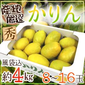 ”かりん” 秀品 8〜16玉前後 約4kg 産地厳選【予約 10月中旬以降】 送料無料