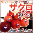 カリフォルニア、チリ産 ほか ”ザクロ” 6～7玉前後 約2kg【予約 入荷次第発送】 送料無料
