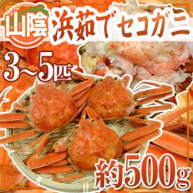 卵である「外子」と「内子」カニミソと身のハーモニー！