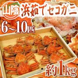 卵である「外子」と「内子」カニミソと身のハーモニー！