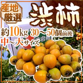 干し柿・吊るし柿用 ”渋柿” 中～大サイズ 約10kg 「愛宕柿」「大和柿」いずれかを旬な産地で♪【予約 11月中旬以降】