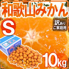 ”和歌山みかん” 訳あり Sサイズ 約10kg【予約 11月末以降】 送料無料