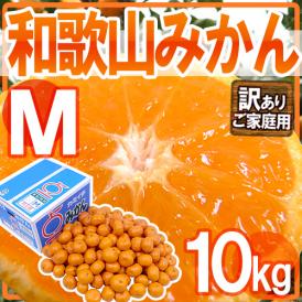 ”和歌山みかん” 訳あり Mサイズ 約10kg【予約 11月末以降】 送料無料