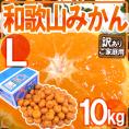 ”和歌山みかん” 訳あり Lサイズ 約10kg【予約 11月末以降】 送料無料