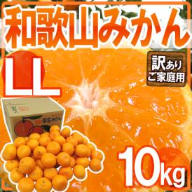 ”和歌山みかん” 訳あり LLサイズ 約10kg【予約 11月末以降】 送料無料