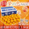 熊本産 夢未来 ”夢の恵みかん” 赤秀品 S/M/Lサイズ 約4kg【予約 11月中旬以降】 送料無料