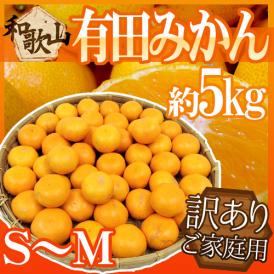 ”和歌山産 有田みかん” 訳あり S～Mサイズ 約5kg ありだみかん【予約 11月末以降】 送料無料