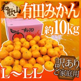 和歌山産 ”有田みかん” 訳あり L～LLサイズ 約10kg 産地箱 ありだみかん【予約 11月末以降】 送料無料