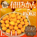 ”和歌山産 有田みかん” 訳あり L～LLサイズ 約5kg ありだみかん【予約 11月末以降】 送料無料