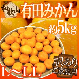 ”和歌山産 有田みかん” 訳あり L～LLサイズ 約5kg ありだみかん【予約 11月末以降】 送料無料