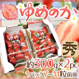 長崎産イチゴ ”ゆめのかいちご” 約300g×2pc 大粒1パック7～11粒前後【予約 12月以降】 送料無料