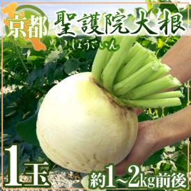 辛みや臭みが少なく、柔らかいのに煮崩れしにくい！
