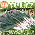 ”群馬県 下仁田ネギ” 16〜40本前後 風袋込約4kg 殿様ねぎ【予約 11月中下旬以降】 送料無料
