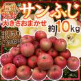 長野産 ”蜜入りサンふじ” 約10kg 訳あり 大きさおまかせ【予約 11月下旬以降】 送料無料