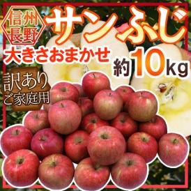 長野産 ”蜜入りサンふじ” 約10kg 訳あり 大きさおまかせ【予約 11月下旬以降】 送料無料