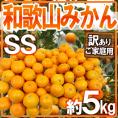 ”和歌山みかん” 訳あり 小粒・小玉 SSサイズ 約5kg【予約 11月末以降】 送料無料