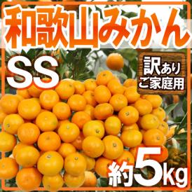 ”和歌山みかん” 訳あり 小粒・小玉 SSサイズ 約5kg【予約 11月末以降】 送料無料