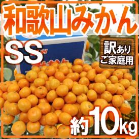 ”和歌山みかん” 訳あり 小粒・小玉 SSサイズ 約10kg【予約 11月末以降】 送料無料