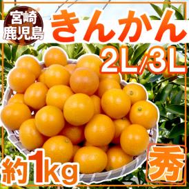 宮崎・鹿児島県 ”きんかん” 秀品 2L～3L 約1kg 金柑【予約 12月以降】