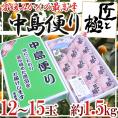 愛媛・中島産 ”匠と極みかん” 12～15玉 約1.5kg 化粧箱【予約 11月下旬以降】 送料無料