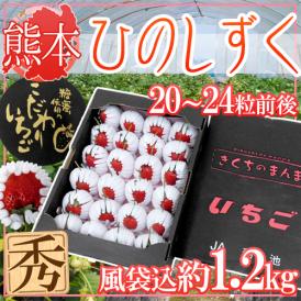 熊本県産 糖蜜使用のこだわりいちご ”ひのしずく きくちのまんま” 大粒22～30粒前後 風袋込1.2kg 化粧箱【予約 1月中旬以降】 送料無料