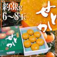 佐賀産 ”せとか” 超大玉6～8玉 約3kg 化粧箱入り【予約 1月中旬以降】 送料無料