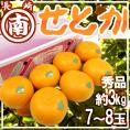 長崎産 ”マルナンせとか” 超大玉 7～8玉 約3kg 化粧箱【予約 2月以降】 送料無料