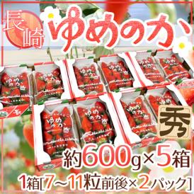 長崎産イチゴ ”ゆめのかいちご” 約600g×5箱（1箱あたり約300g×2pc）【予約 12月以降】 送料無料