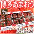 福岡産 博多 ”あまおういちご” 訳あり 約270g×4パック×《3箱》【予約 12月以降】 送料無料
