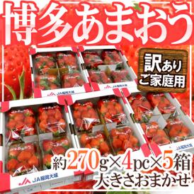 福岡産 博多 ”あまおういちご” 訳あり 約270g×4パック×《5箱》【予約 12月以降】 送料無料