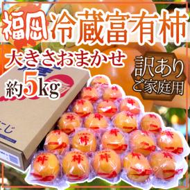 福岡産 ”富有柿” 訳あり 約5kg 大きさおまかせ【予約 12月以降】 送料無料