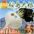 鹿児島 ”桜島大根” 秀品 約7kg以上【予約 1月以降】 送料無料
