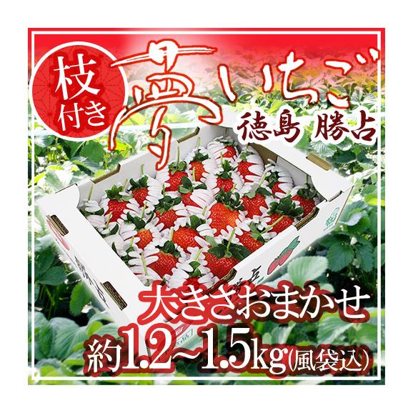 楽天市場】徳島 さちのかの通販
