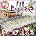 群馬県 ”上州ねぎ” 12束前後 約5kg【予約 11月末以降】