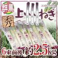群馬県 ”上州ねぎ” 6束前後 約2.5kg【予約 11月末以降】