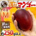 ”宮崎完熟マンゴー” 訳あり 1玉約250g以上 小玉Mサイズ 《4玉以上ご購入で送料無料！8玉以上で1玉おまけ》【予約 5月下旬以降】