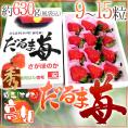 高知県宿毛産 ”だるま苺” 9~15粒 約630g(風袋込) 化粧箱 いちご【予約 2月以降】 送料無料