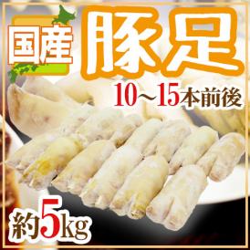 国産 ”豚足” 10～15本前後 約5kg テビチ