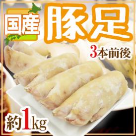 国産 ”豚足” 3本前後 約1kg テビチ