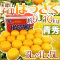 和歌山有田産 ”AQはっさく” 青秀 超大玉3L/4L/5Lサイズ 約9～10kg【予約 1月中旬以降】 送料無料