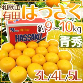 その美味しさ、A級！ブランドはっさく♪