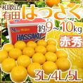和歌山有田産 ”AQはっさく” 赤秀 超大玉3L/4L/5Lサイズ 約9～10kg【予約 1月中旬以降】 送料無料