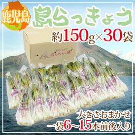 お箸が止まらないお酒のお供♪塩漬け、天ぷらに！