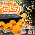 長崎産 ”マルナンせとか 匠の味” 秀品 大玉 5～8玉 約2kg 化粧箱【予約 2月中旬以降】 送料無料