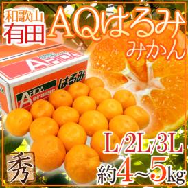 和歌山有田産 ”AQはるみみかん” 秀品 L/2L/3L 約4～5kg【予約 1月下旬以降】 送料無料