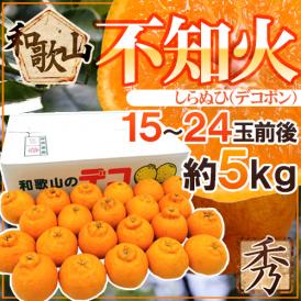 和歌山産 ”不知火・しらぬい（デコポン）” 秀品 15～24玉前後 約5kg 産地箱【予約 2月以降】 送料無料