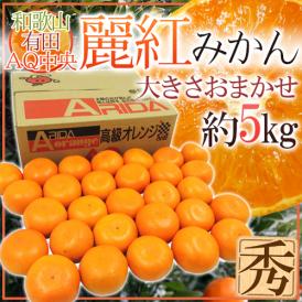 和歌山有田産 ”AQ麗紅（れいこう）” 秀品 約5kg 大きさおまかせ【予約 2月末以降】 送料無料