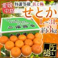 愛媛・中島産 ”中島便り せとか 匠と極” 大玉L/2L/3L 10～15玉 約3kg 化粧箱【予約 1月末以降】 送料無料