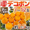”熊本産 デコポン” 訳あり 7～12玉 約2.5kg【予約 1月以降】 送料無料